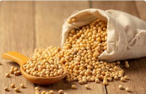 Is Soy Products Gluten Free? What You Need to Know About Soy and Gluten Is Soy Products Gluten Free